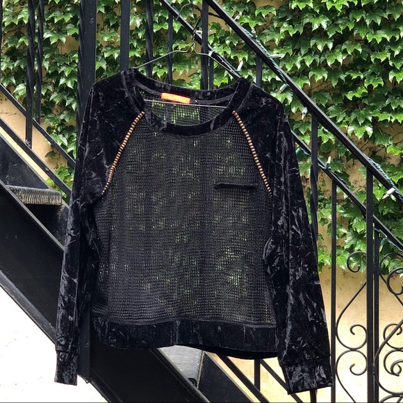 Lulumari Sheer Velvet Top - Picture 3 of 9